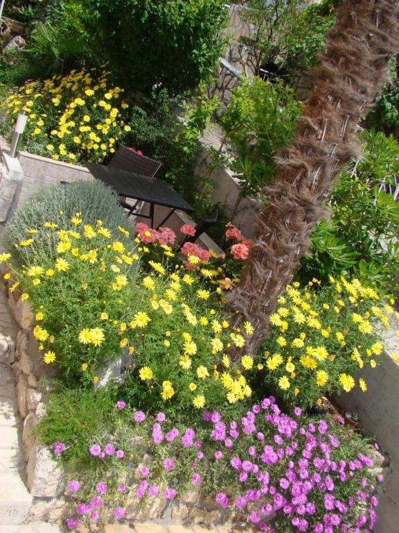 Apartments Melita ツリクヴェニツァ 部屋 写真
